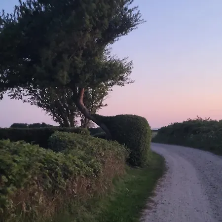 بيت للعطل House Sea Vacation Denmark Daenemark Urlaub